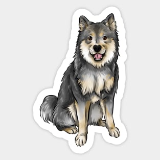 Finnish Lapphund Dog | Wolf Sable Sticker